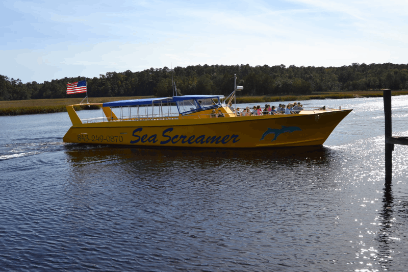 Things To Do Myrtle Beach Dolphin Cruises